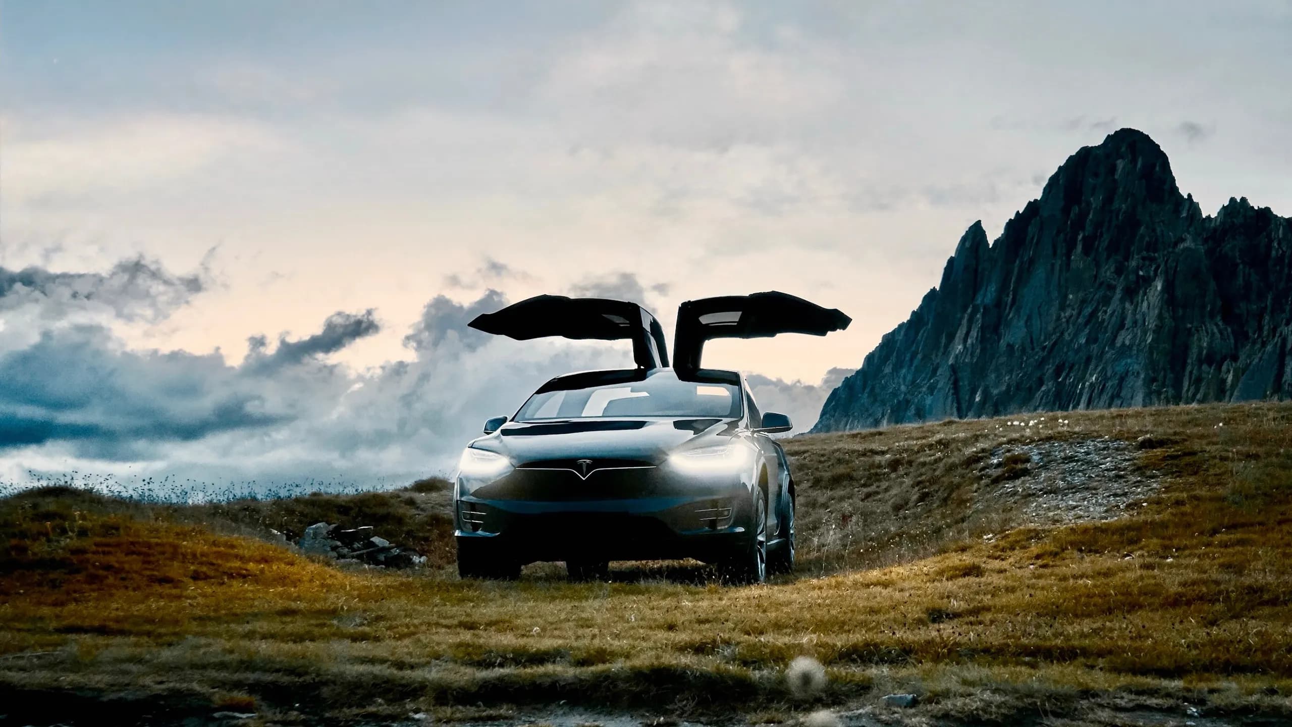Model X 6 Seat
